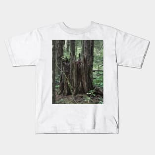 Stump In The Forest Kids T-Shirt